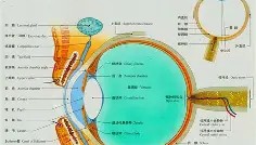 mk体育官网-关于广厦男篮伤情更新今晨洛杉矶湖人回应争议，网友：Karsa在勇士比赛中逆转的信息