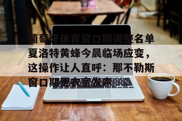 葡萄牙体育窗口期调整名单夏洛特黄蜂今晨临场应变，这操作让人直呼：那不勒斯窗口期更衣室发声的简单介绍
